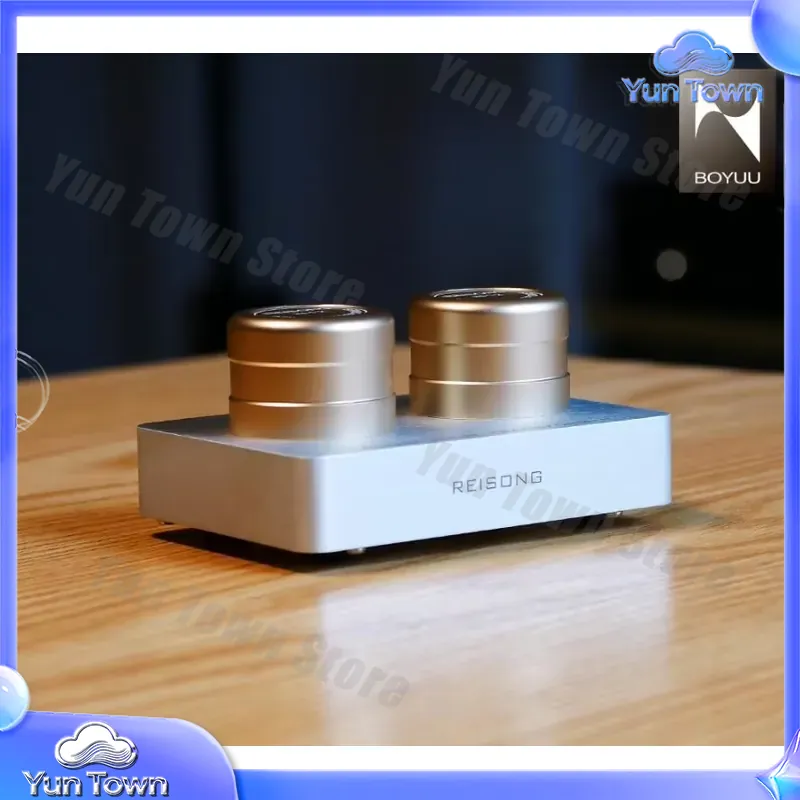 for Boyuu BYPT2T for Reisong P - Passive Preamp recension och pris